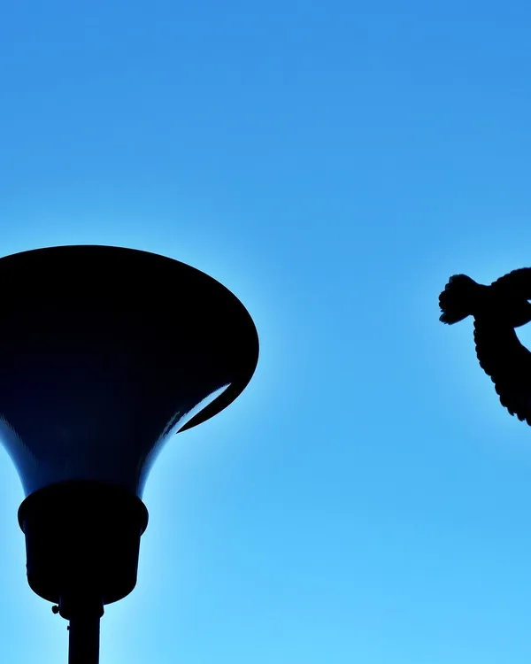 Hängande lampa fåglar - Bild 3