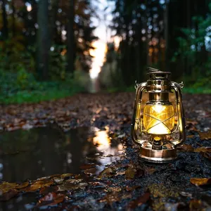 Bordslampa trä lilla Dutch Dilight