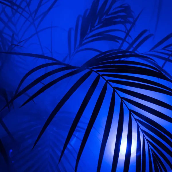 Fågelbur hängande lampa vitt neon tjejrum ros Fågelbur hängande lampa vitt neon tjejrum ros