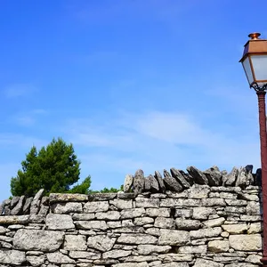 Trävägglampa äppelgrön