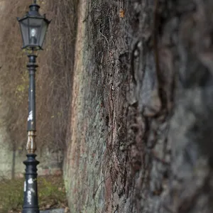 golvlampa lampskärmen riktigt kalvskinn