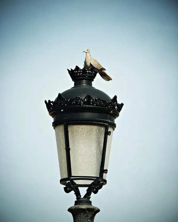 Hängande lampa fåglar - Bild 6