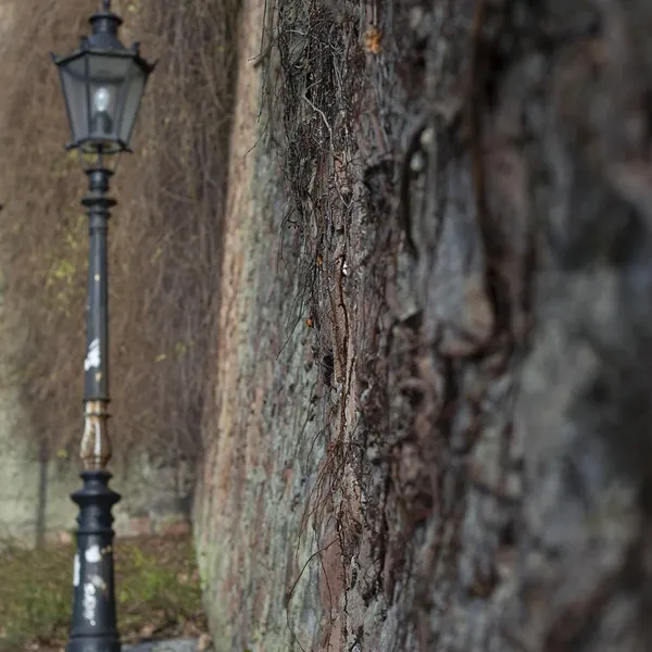 golvlampa lampskärmen riktigt kalvskinn
