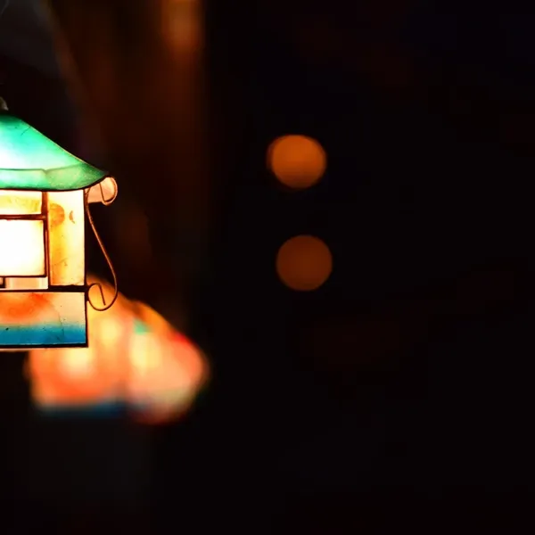 zwarte hanglamp