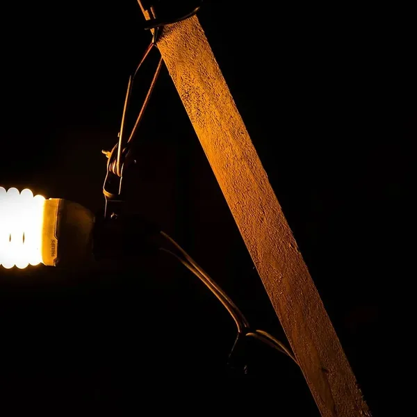 Hängande lampa fåglar kitchen