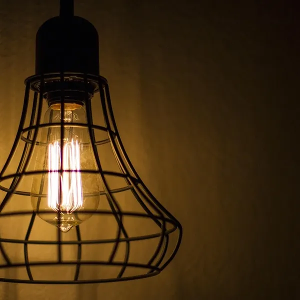 gouden hanglamp vogels
